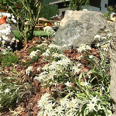 Central Apartment Canazei 公寓