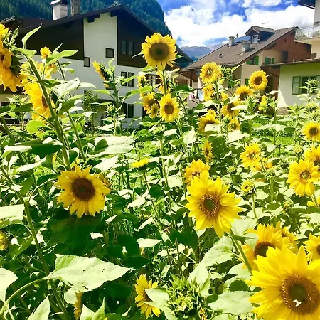 Central Apartment Canazei Canazei