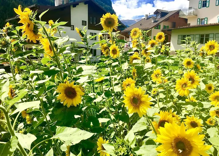 Central Apartment Canazei Canazei